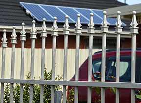 Cardinal spear on top of a  fence