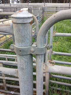 top hinge on a stockyard 