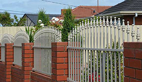 Cardinal spear top on a fence